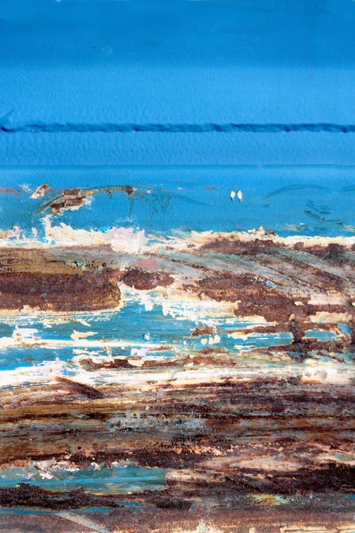 Whale Watching at the Rock Pools
