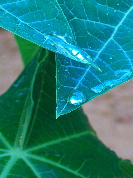 Life with water 