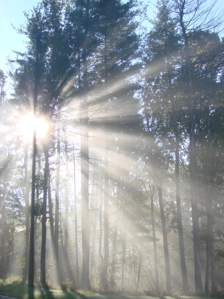 Rays of Light