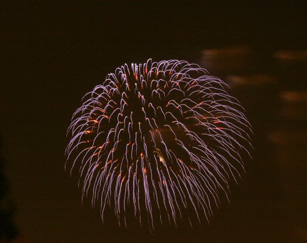 Fireworks_in_Sky_13