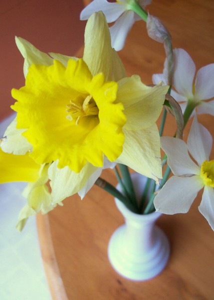 Spring Bouquet. Photo.