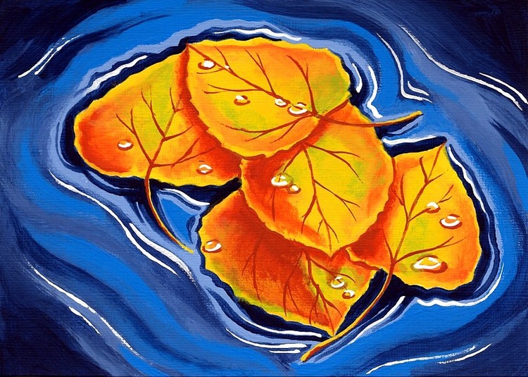 Falling and Floating