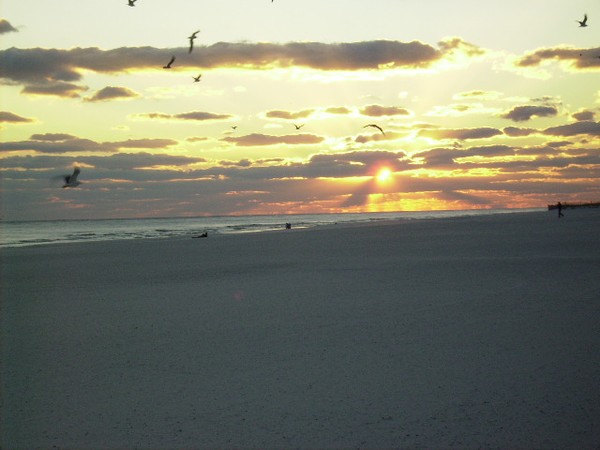 sunset on gulf shores beach