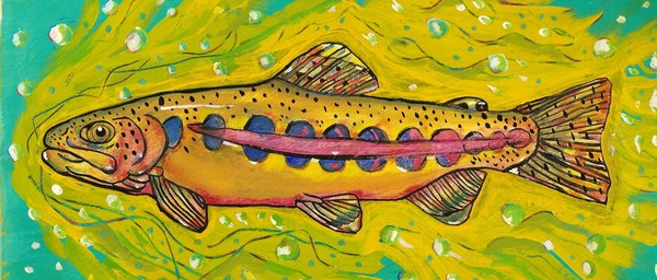 Golden Trout