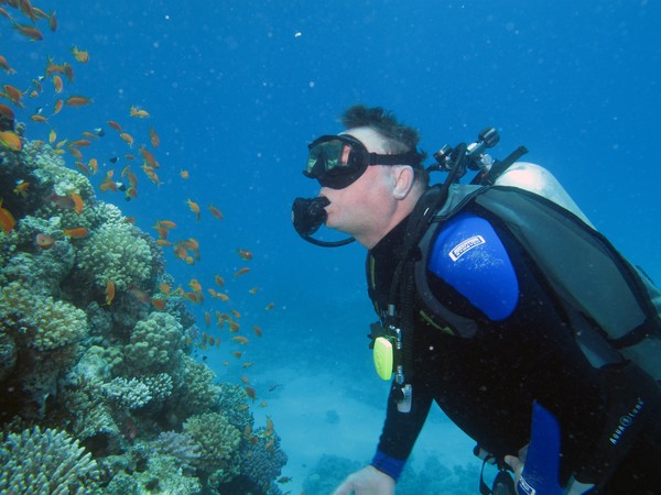 Red Sea Reef