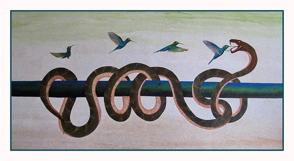 Coexistence pacifique 2