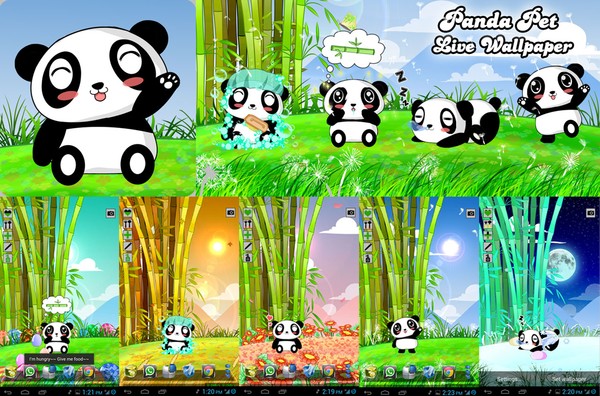 Panda Pet Live Wallpaper