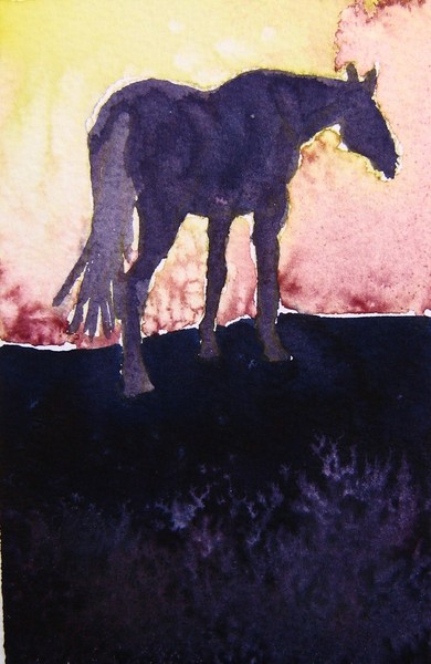 Sunrise #1