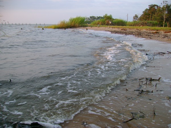 The Beach