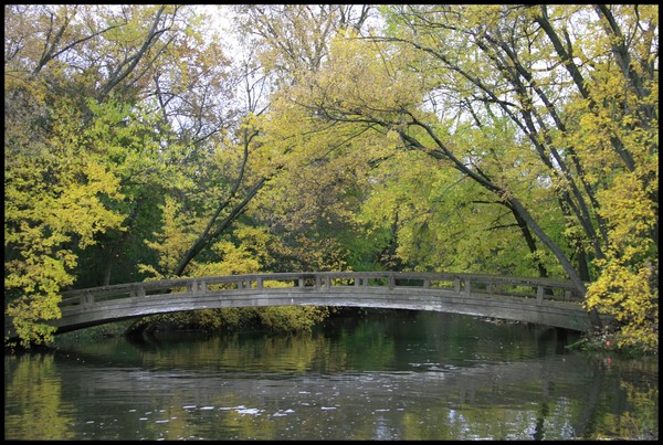 BRIDGE AT WARRENVILLE