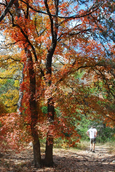 Lost Maples State Park