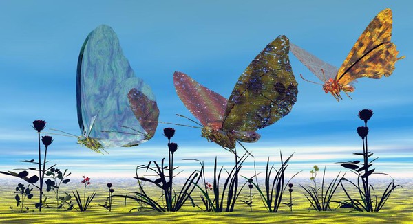 Butterfly Wings