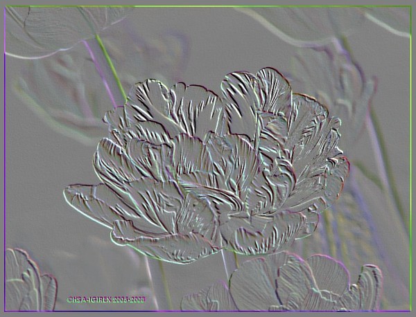 Relief  floral  digi image by HSA09