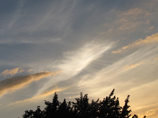 THE DIVINE SUMMER SKY
