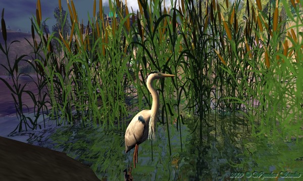 Great Heron at Meteor Lake