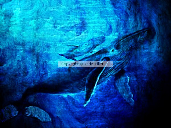 whale 3