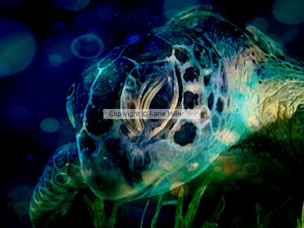 Sea Guardian 2