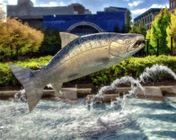 Salmon Off Broadway