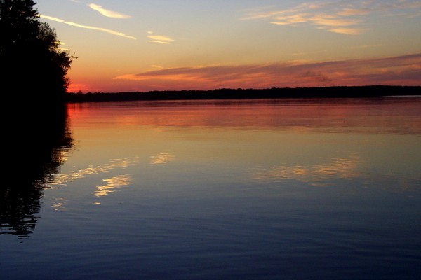 Spring Serene