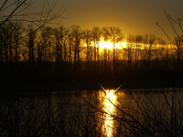 Sunrise Across the WiIlamette River