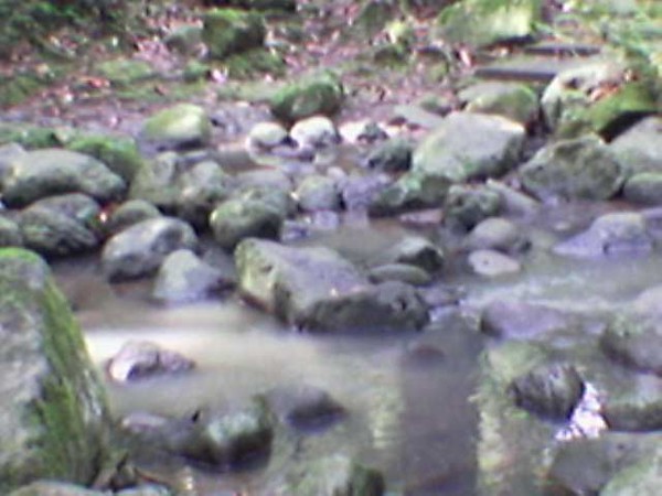 Agos ng Tubig sa Batis