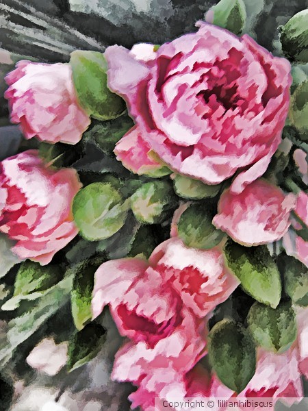 Botanical Beauty