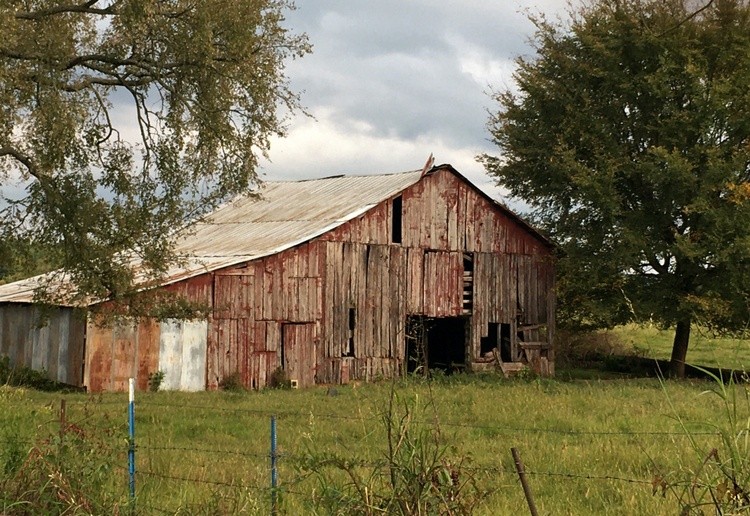 Arkansas Treasure