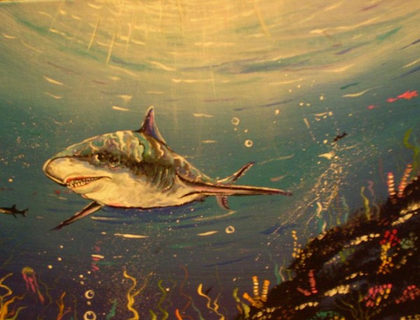 SHARK WATER