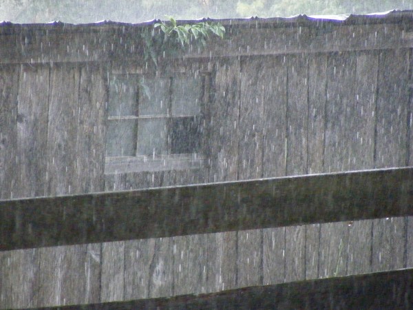 Rain at the chicken coop