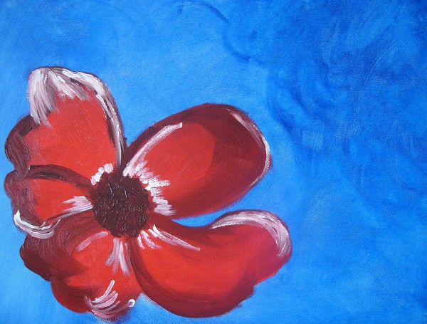 Flor vermelha, fundo azul - 40 x 50