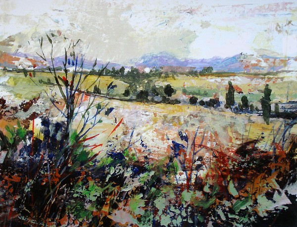 Rainy Day Pastures