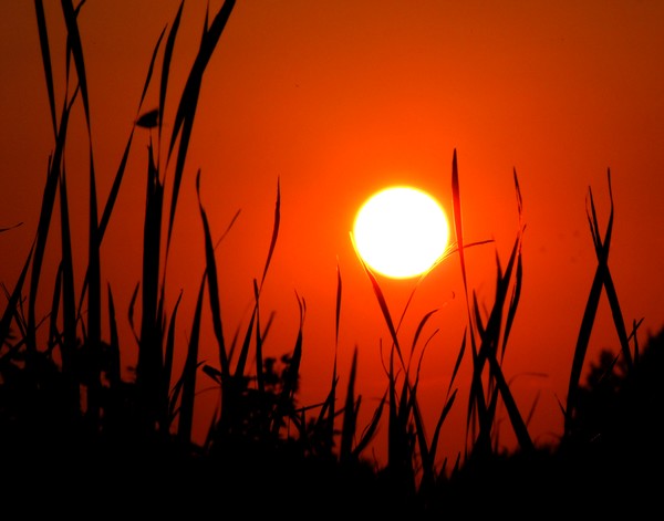 Sundown Glow!