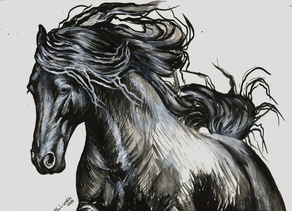 Horse Art Giclee Print On Canvas