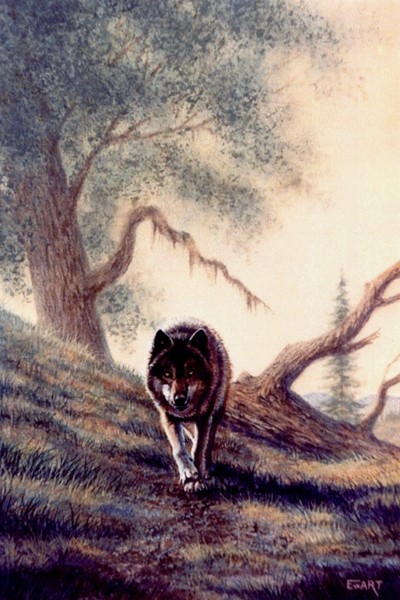 On the Prowl