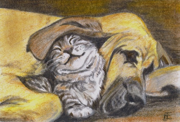 Getting Cozy