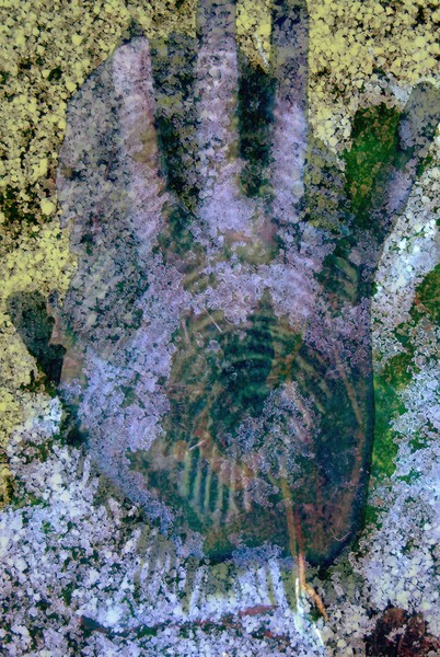 TOUCH