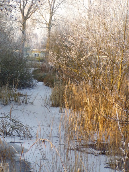 anneke_064