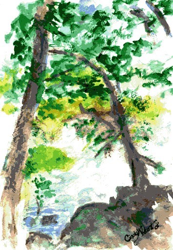 tREES ON THE jAMES rIVER