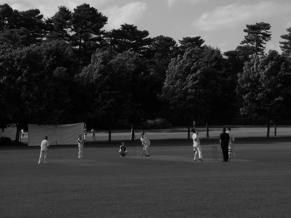 Cricket In The Park