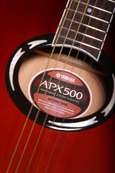 yamaha apx500