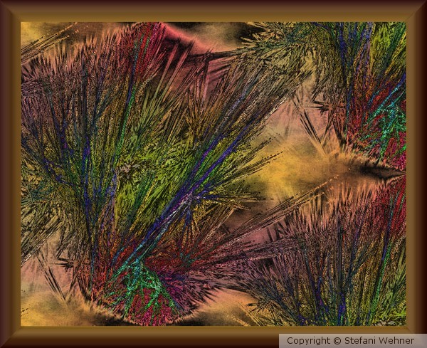 desert in spring
