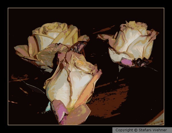 roses in fall
