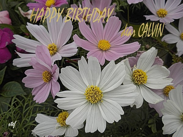 some flowers for Calvin