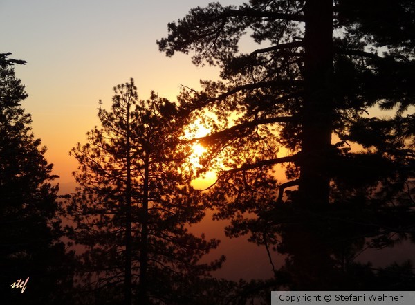 Yosemite Sun Set