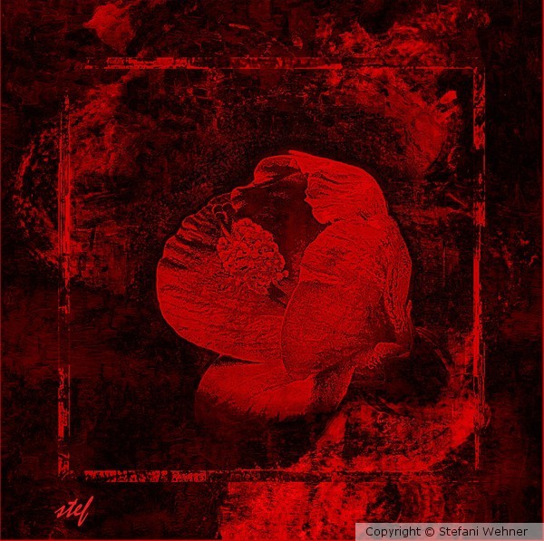 transient