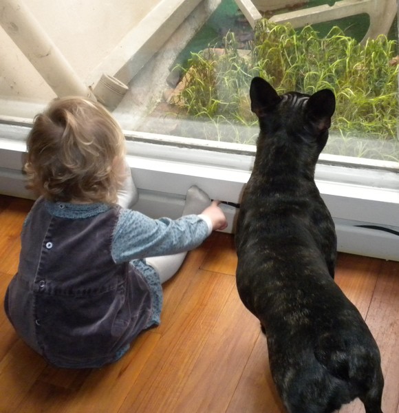 Waiting for the New Year