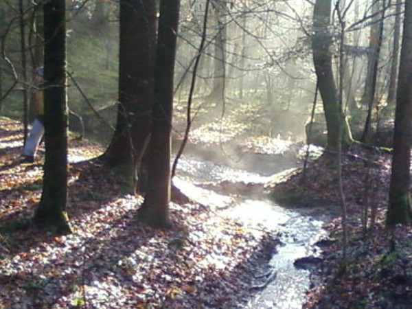 Nature
