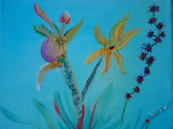 Tropical flowers