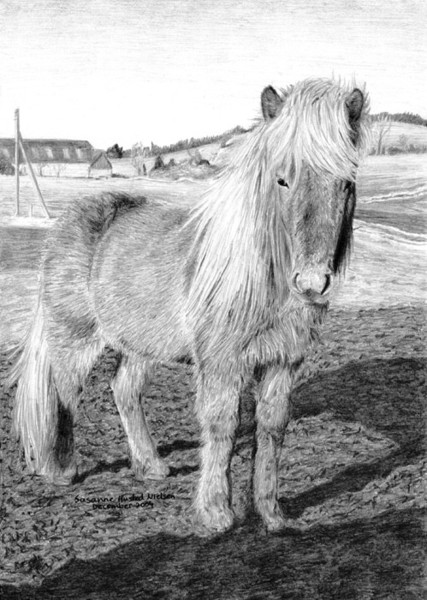 Pony