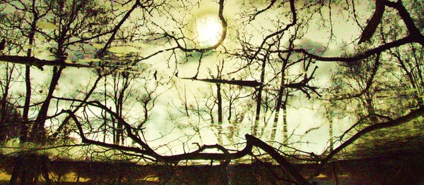 spirit in the pond